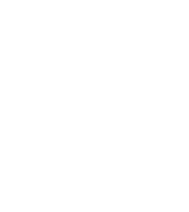 Crazy Cat Ladies are born in February model negru pe tricou