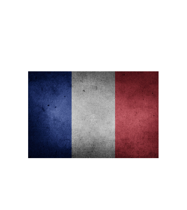 FRANCE model alb pe tricou