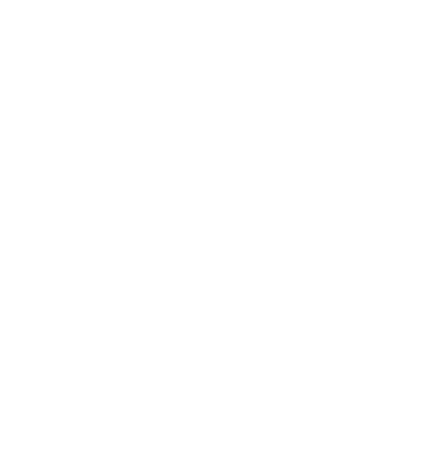 LOVE Staffordshire Terrier model turcoaz pe tricou