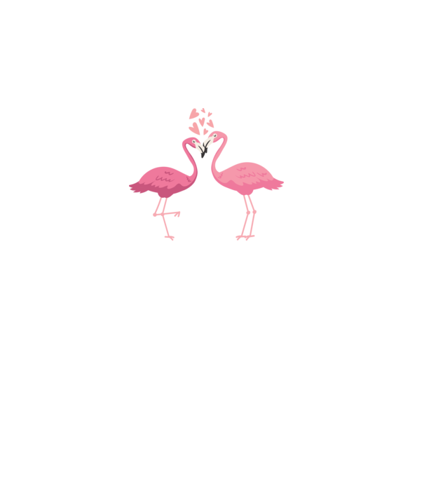 FLAMINGO ÎNDRĂGOSTIȚI model alb pe tricou