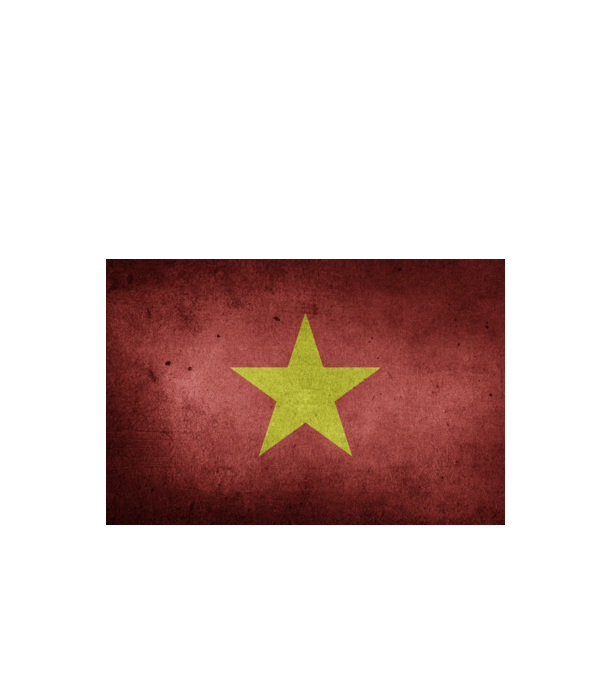 VIETNAM model negru pe tricou
