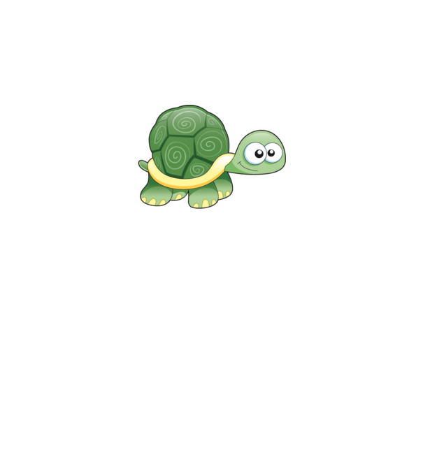 Turtle model gri pe tricou