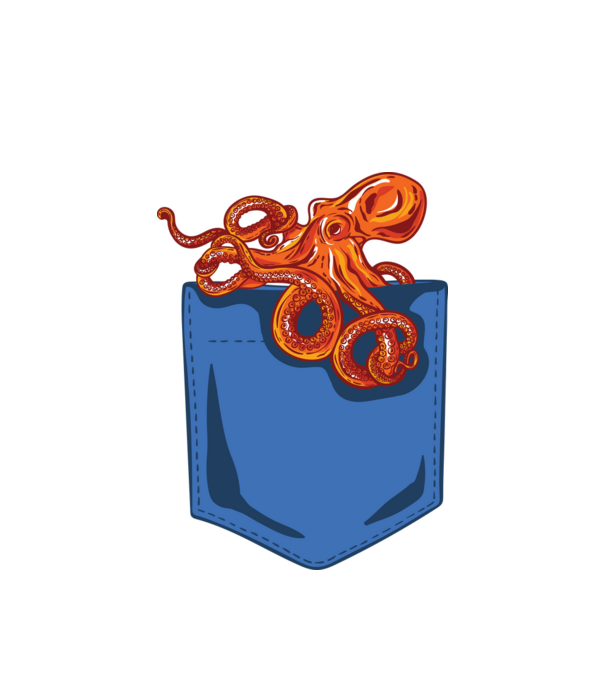 Octopus model alb pe tricou