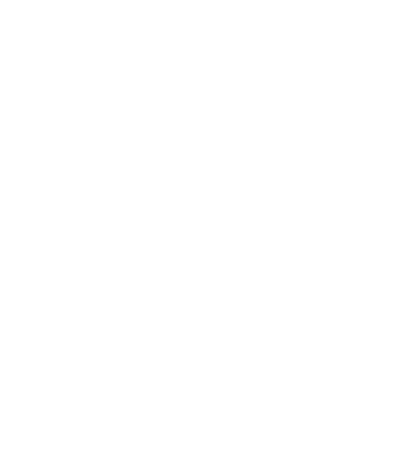 Zidarul model negru pe tricou