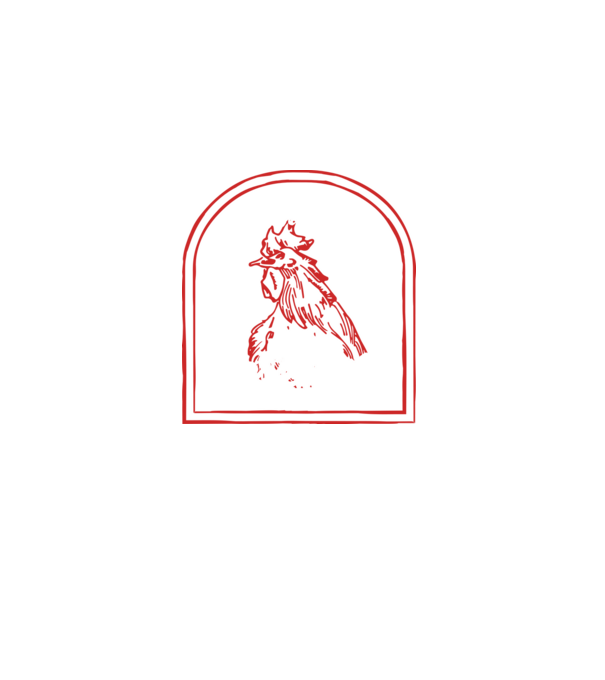 Festival BBQ - cu tata în grădina din spate! model negru pe tricou