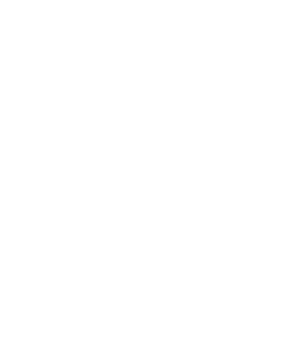 Crazy Cat Ladies are born in December model turcoaz pe tricou