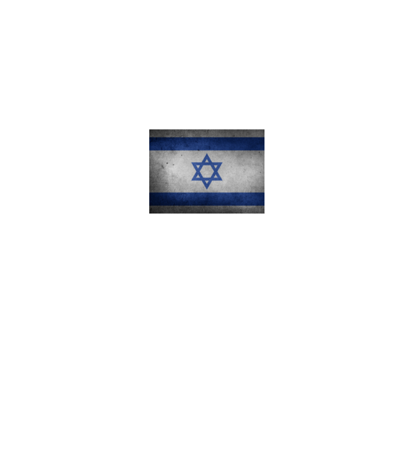 ISRAEL model gri pe tricou
