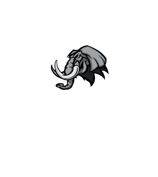 Elephant model gri pe tricou
