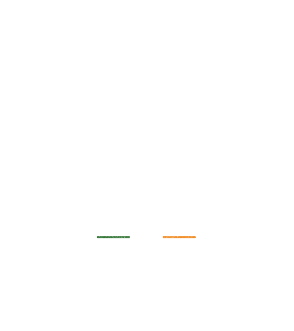 Zero irish model alb pe tricou