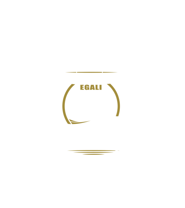 Toți bărbații se nasc egali călăreți model negru pe tricou