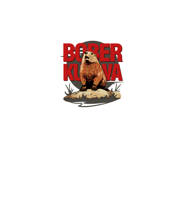 BOBER model turcoaz pe tricou