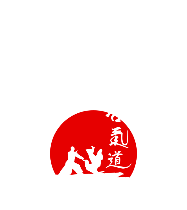 Aikido model negru pe tricou