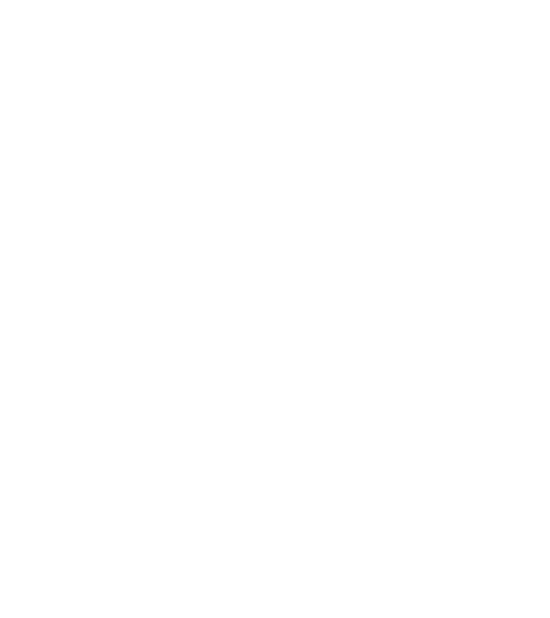 Box evolution model negru pe tricou