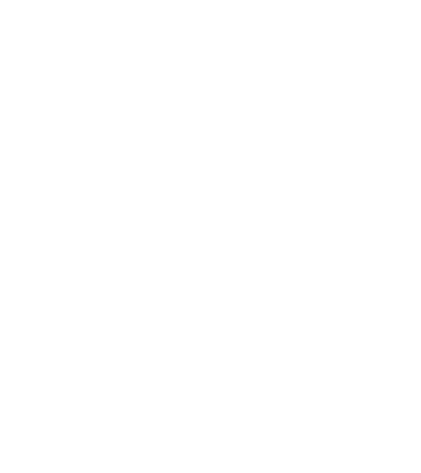 New year definition model alb pe tricou