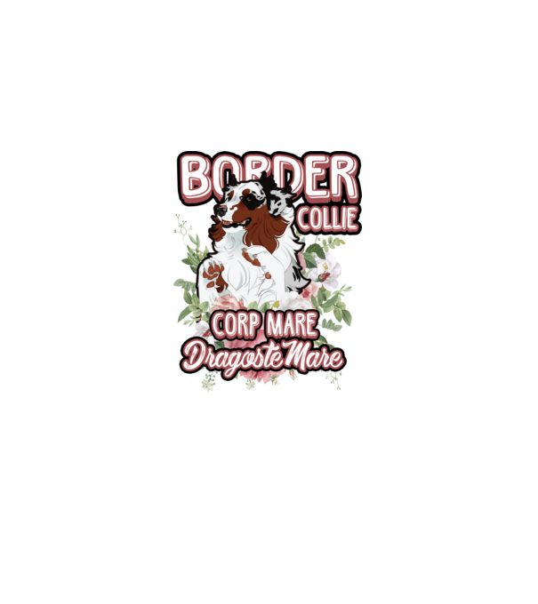 border collie - multă blană multă dragoste model alb pe tricou