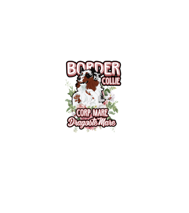 border collie - multă blană multă dragoste model alb pe tricou