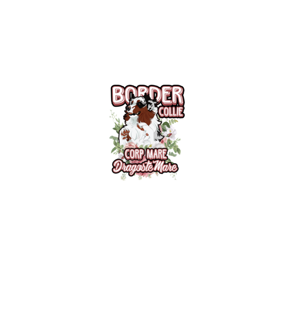 border collie - multă blană multă dragoste model nisipiu pe tricou