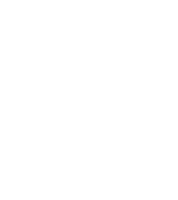 I do my own stunts model negru pe tricou