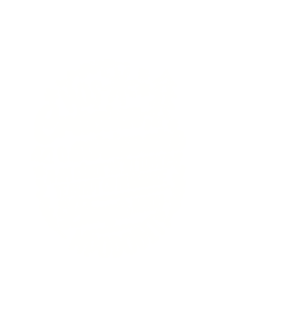 Moş Crăciun model roșu pe tricou