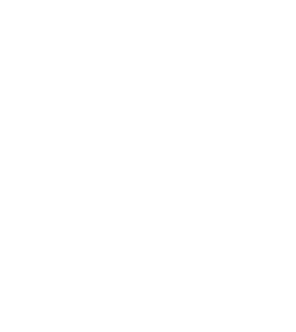 Programmer model turcoaz pe tricou