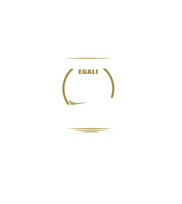 Toți bărbații se nasc egali călăreți model negru pe tricou
