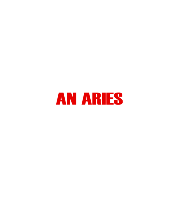 Piss of an ARIES model negru pe tricou