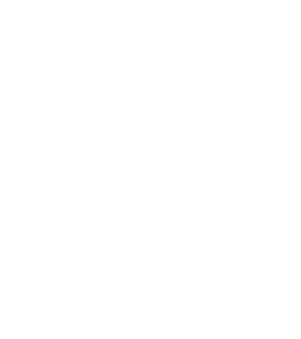EarthLogo model negru pe tricou