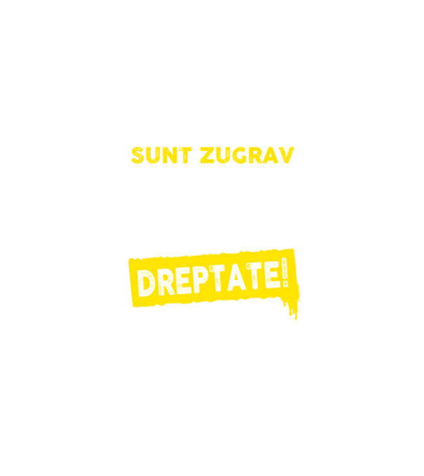 Sunt zugrav, pentru a economisi timp, să reținem că am întotdeauna dreptate! model negru pe tricou