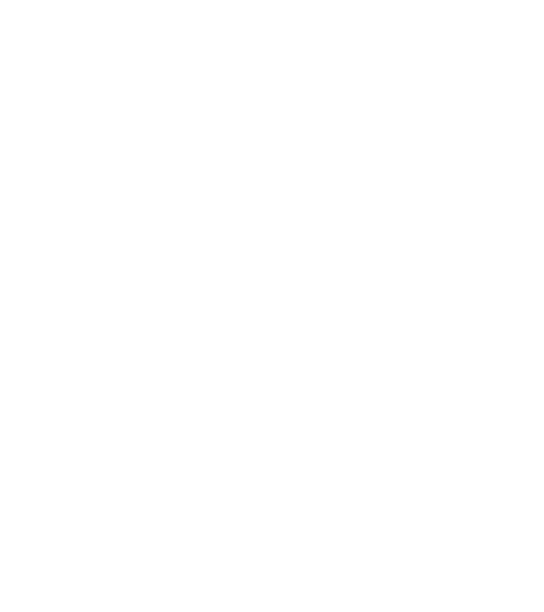 Crazy Cat Ladies are born in November model negru pe tricou
