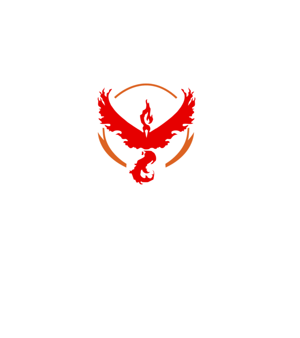 Valor team logo model alb pe tricou