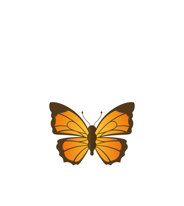 Butterfly model alb pe tricou