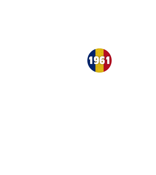 made in 1961 retro vintage model negru pe tricou