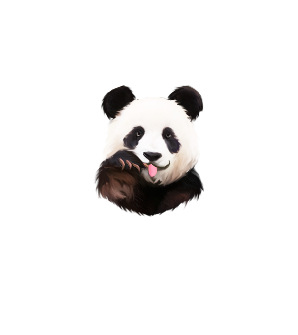 Panda face model albastru deschis pe tricou