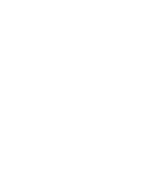 România Dracula 2 model negru pe tricou