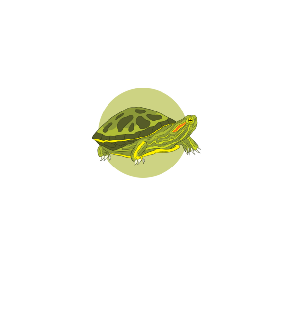 Turtle model negru pe tricou