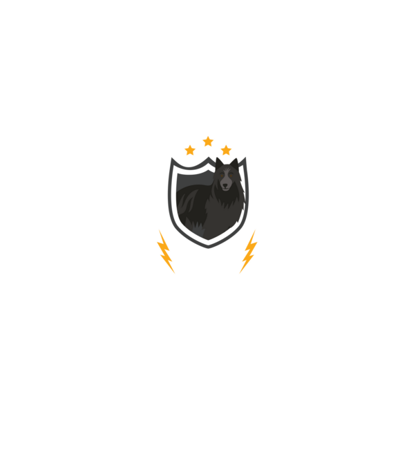 serviciu de securitate - securitate - persistență - 24 de ore pe zi model gri pe tricou