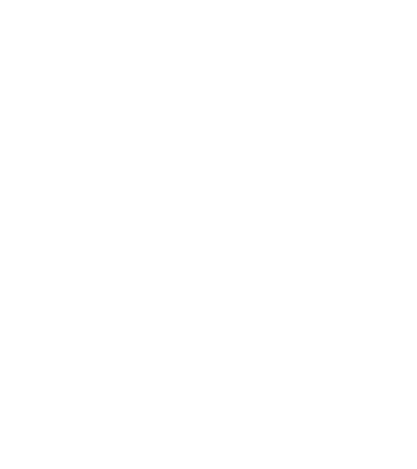 nimeni nu e perfect, dar stăpânii de chivava sunt foarte aproape model turcoaz pe tricou