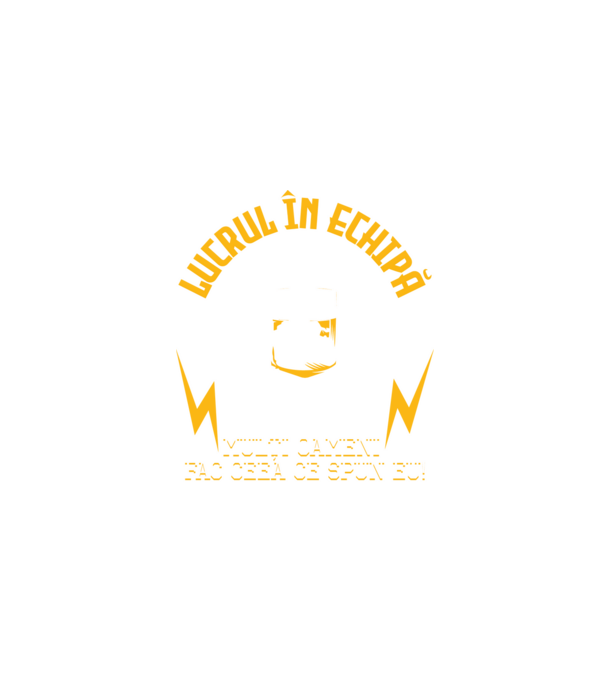 Lucrul în echipă este atunci când mulți oameni fac ceea ce spun eu! Team-building model negru pe tricou