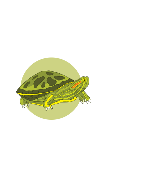 Turtle model alb pe tricou
