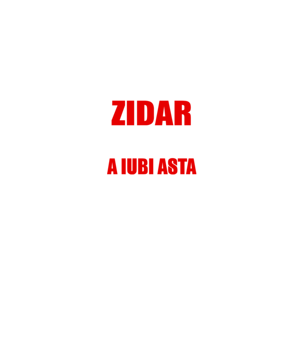 Sunt suficient de priceput pentru a fi ZIDAR și suficient de nebun pentru a iubi asta model negru pe tricou