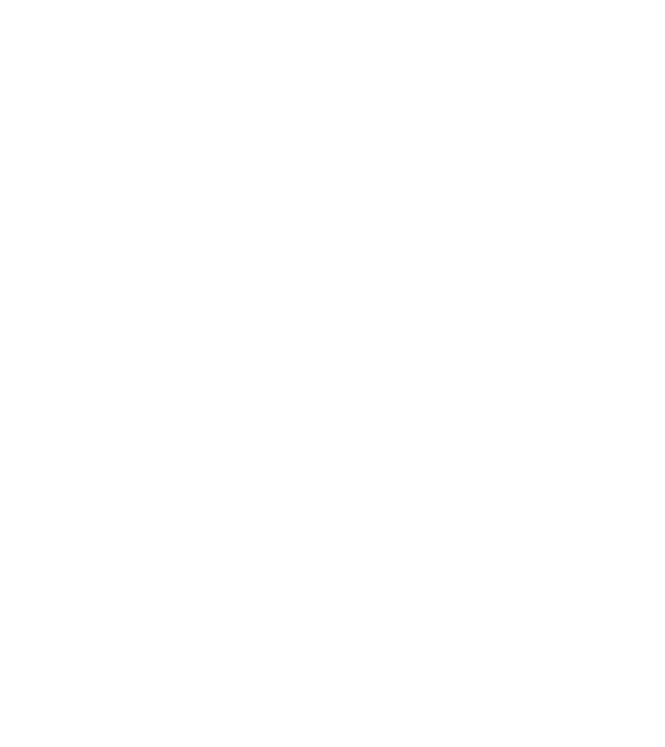 nimeni nu e perfect, dar stăpânii de havanese sunt foarte aproape model negru pe tricou
