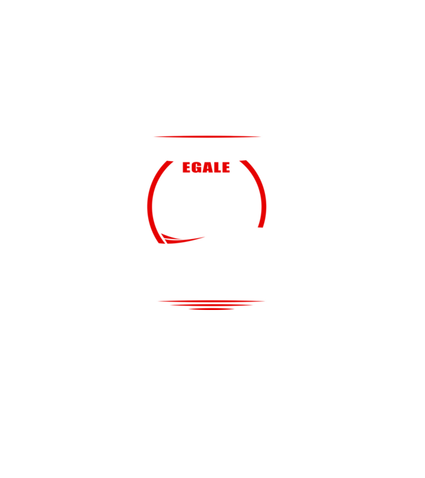 Toate femeile se nasc egale, dar numai cele mai bune devin motocicliste model negru pe tricou