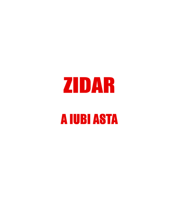 Sunt suficient de priceput pentru a fi ZIDAR și suficient de nebun pentru a iubi asta model negru pe tricou