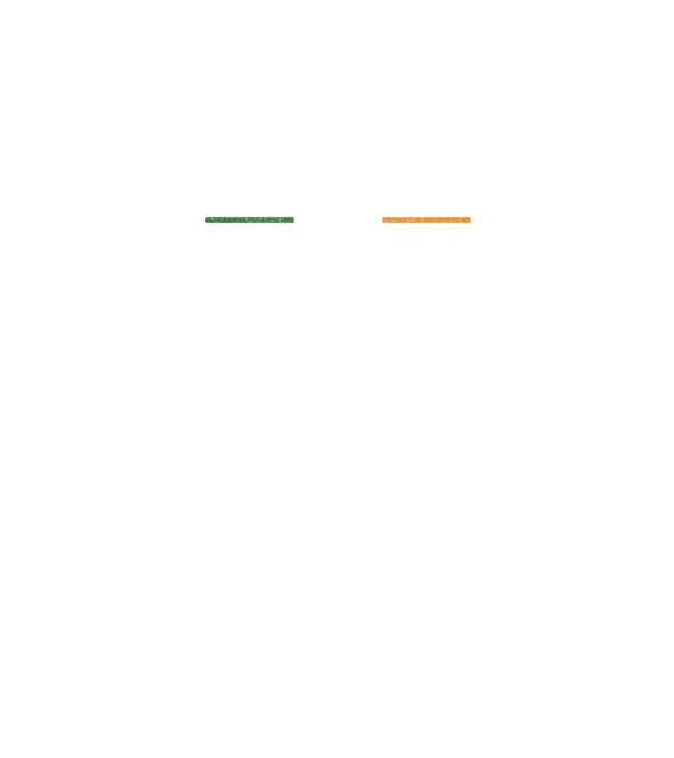Zero irish model negru pe tricou