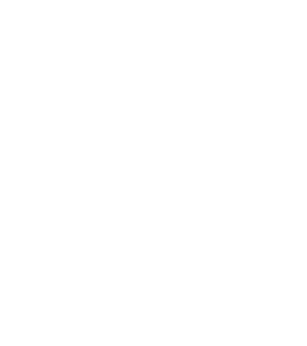 Da Vinci model alb pe tricou