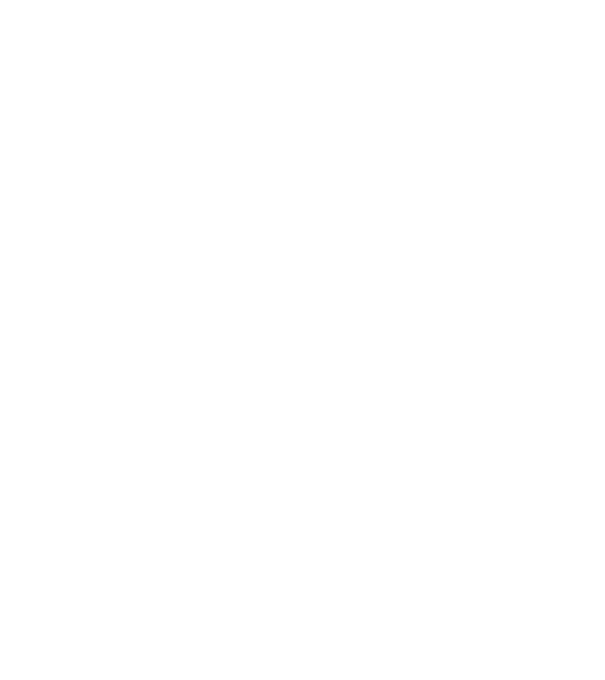 Crazy Cat Ladies are born in April model turcoaz pe tricou