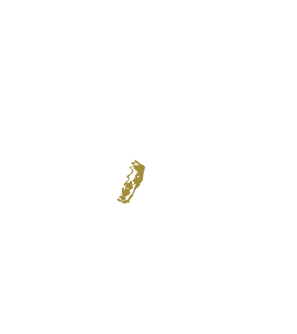 King in the north 2c model negru pe tricou