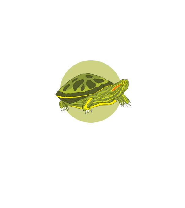 Turtle model albastru jeanși pe tricou