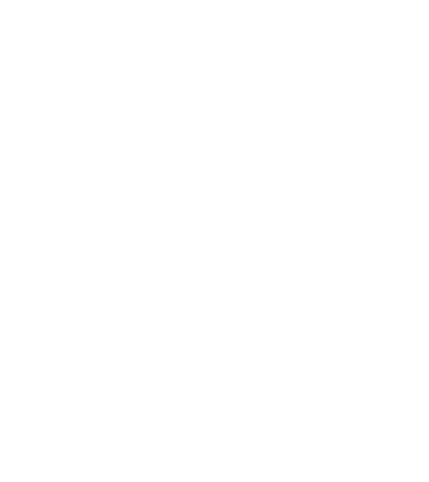 Regele - ceaunului! model negru pe tricou