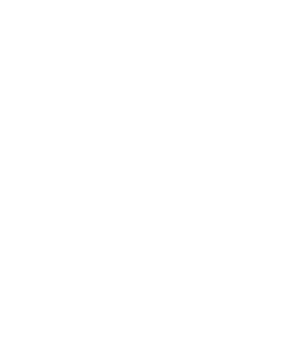 Crazy Cat Ladies are born in November model negru pe tricou